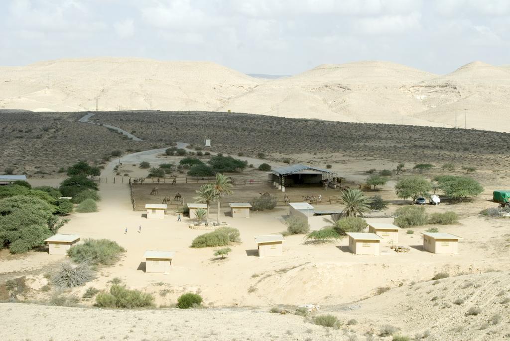 Negev Camel Ranch Villa Dimona Exteriör bild