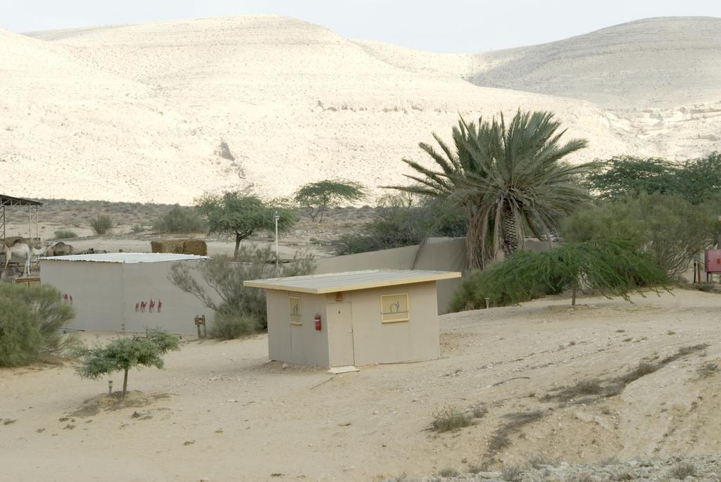 Negev Camel Ranch Villa Dimona Exteriör bild