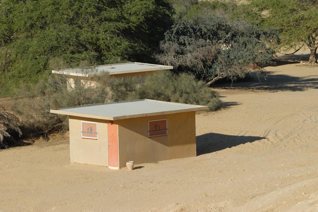 Negev Camel Ranch Villa Dimona Exteriör bild
