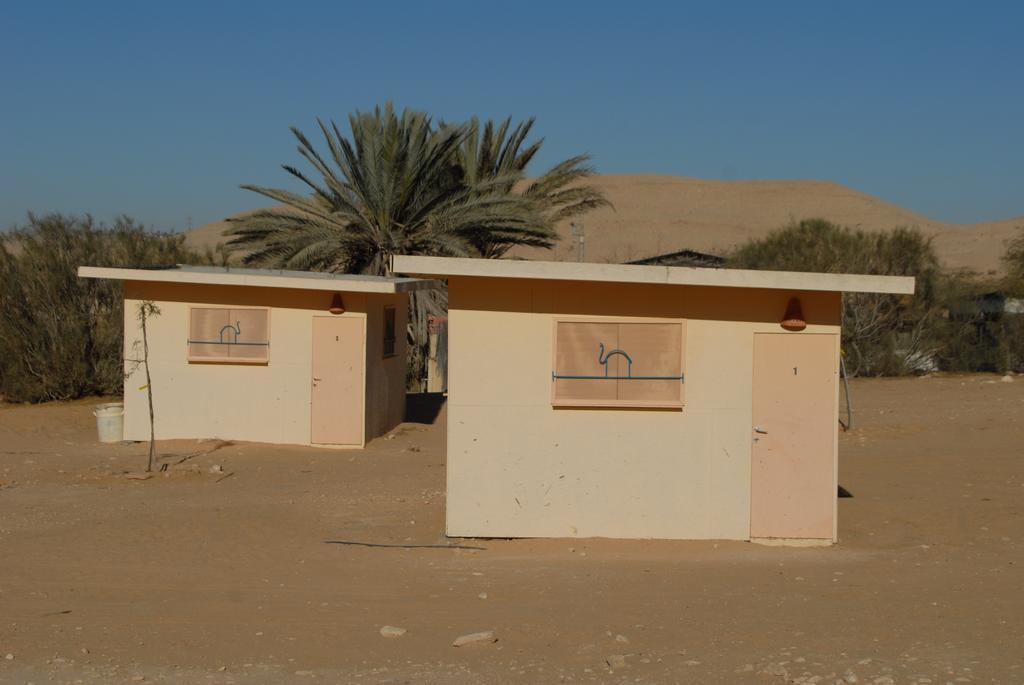 Negev Camel Ranch Villa Dimona Exteriör bild