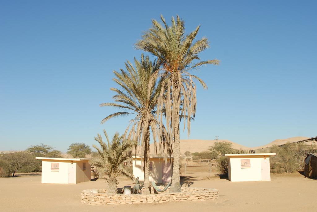 Negev Camel Ranch Villa Dimona Exteriör bild