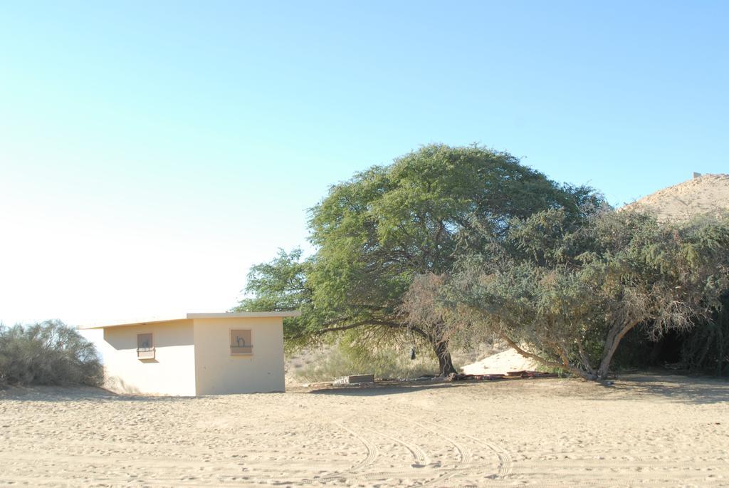 Negev Camel Ranch Villa Dimona Rum bild