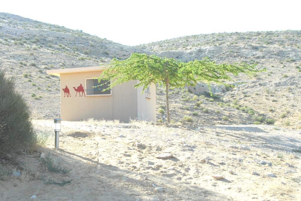 Negev Camel Ranch Villa Dimona Exteriör bild
