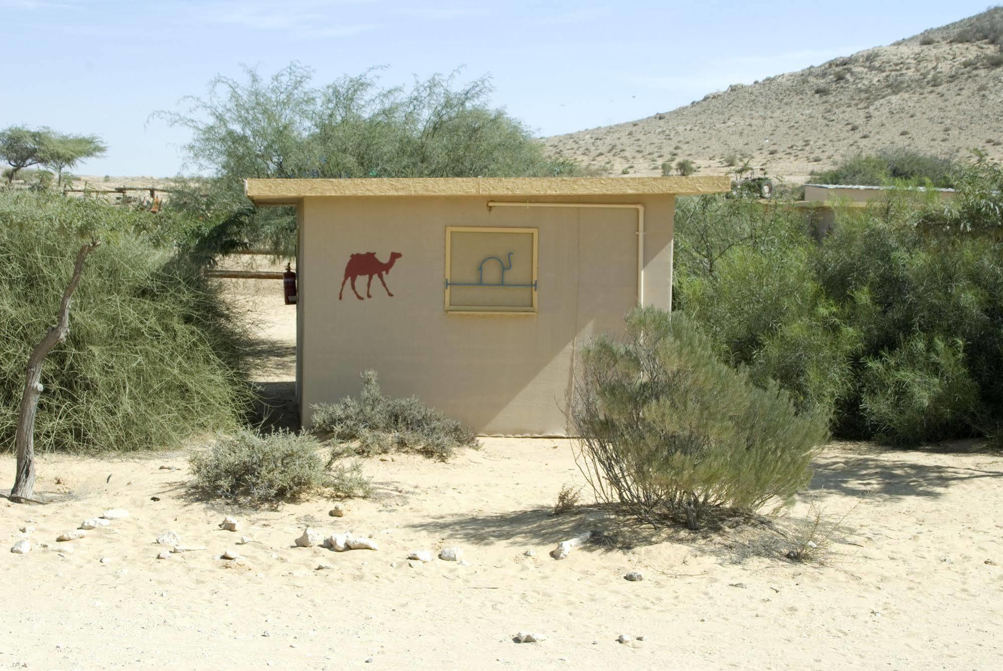 Negev Camel Ranch Villa Dimona Exteriör bild