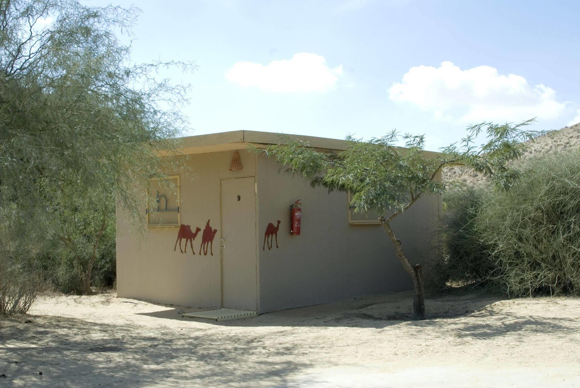 Negev Camel Ranch Villa Dimona Exteriör bild