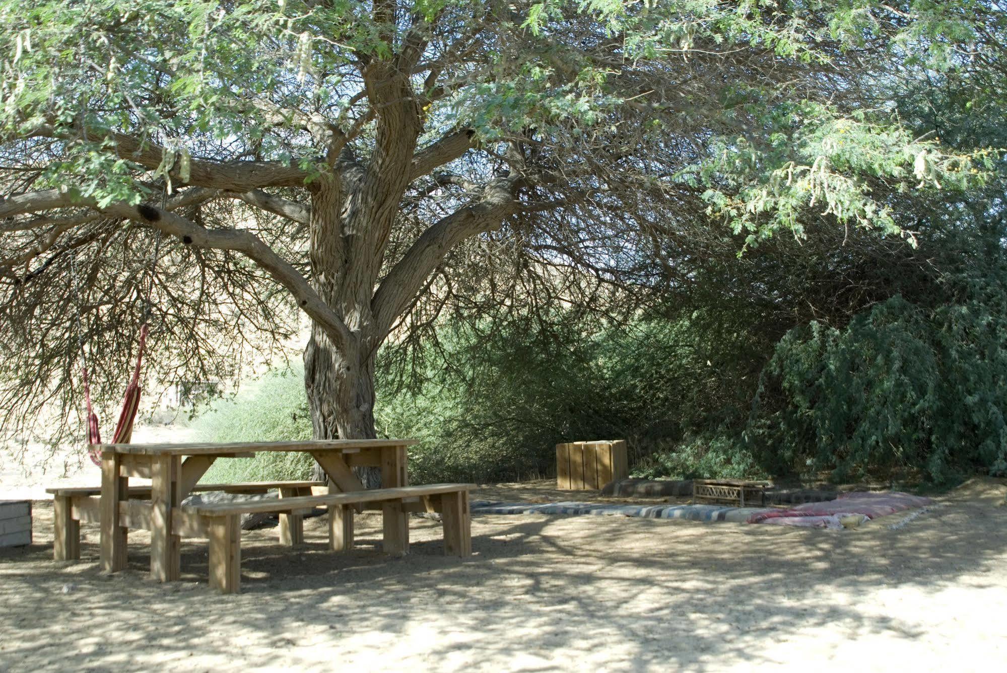 Negev Camel Ranch Villa Dimona Exteriör bild