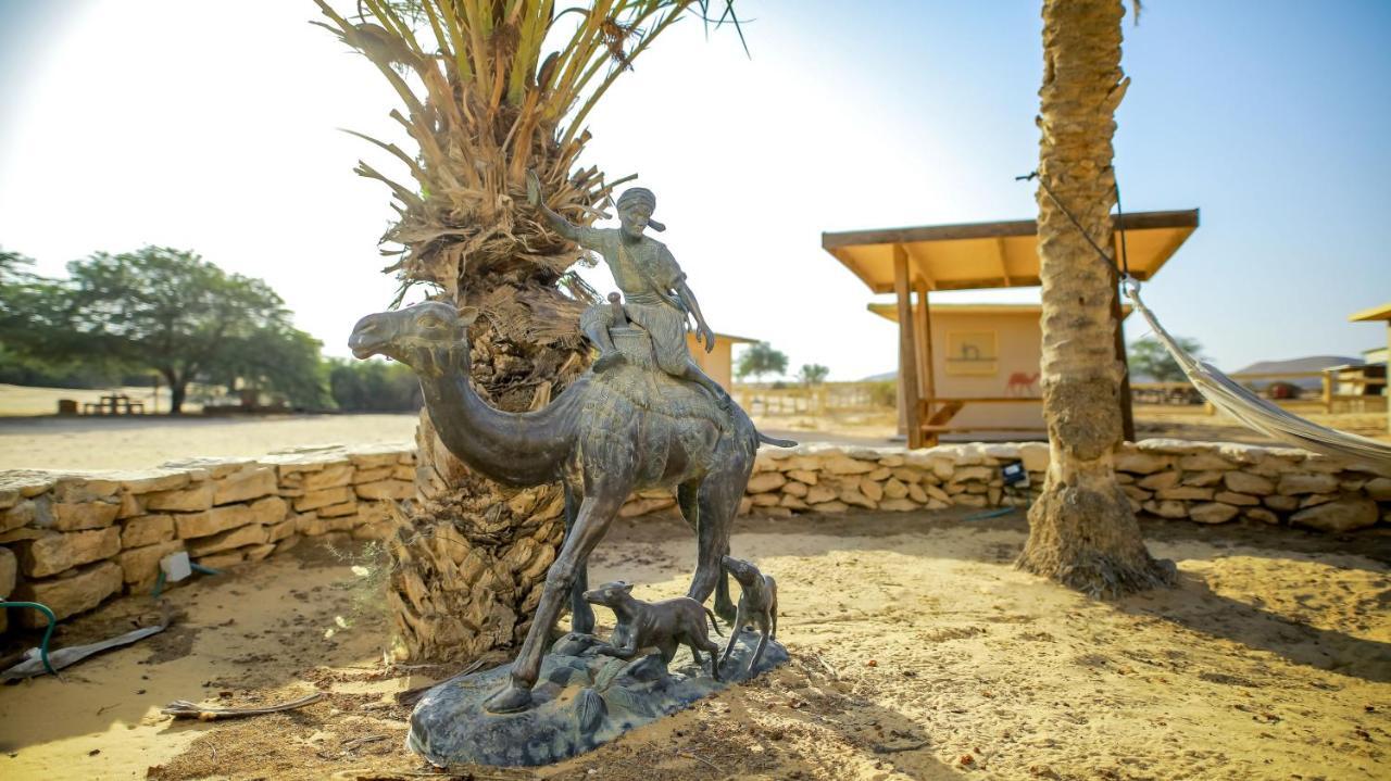 Negev Camel Ranch Villa Dimona Exteriör bild
