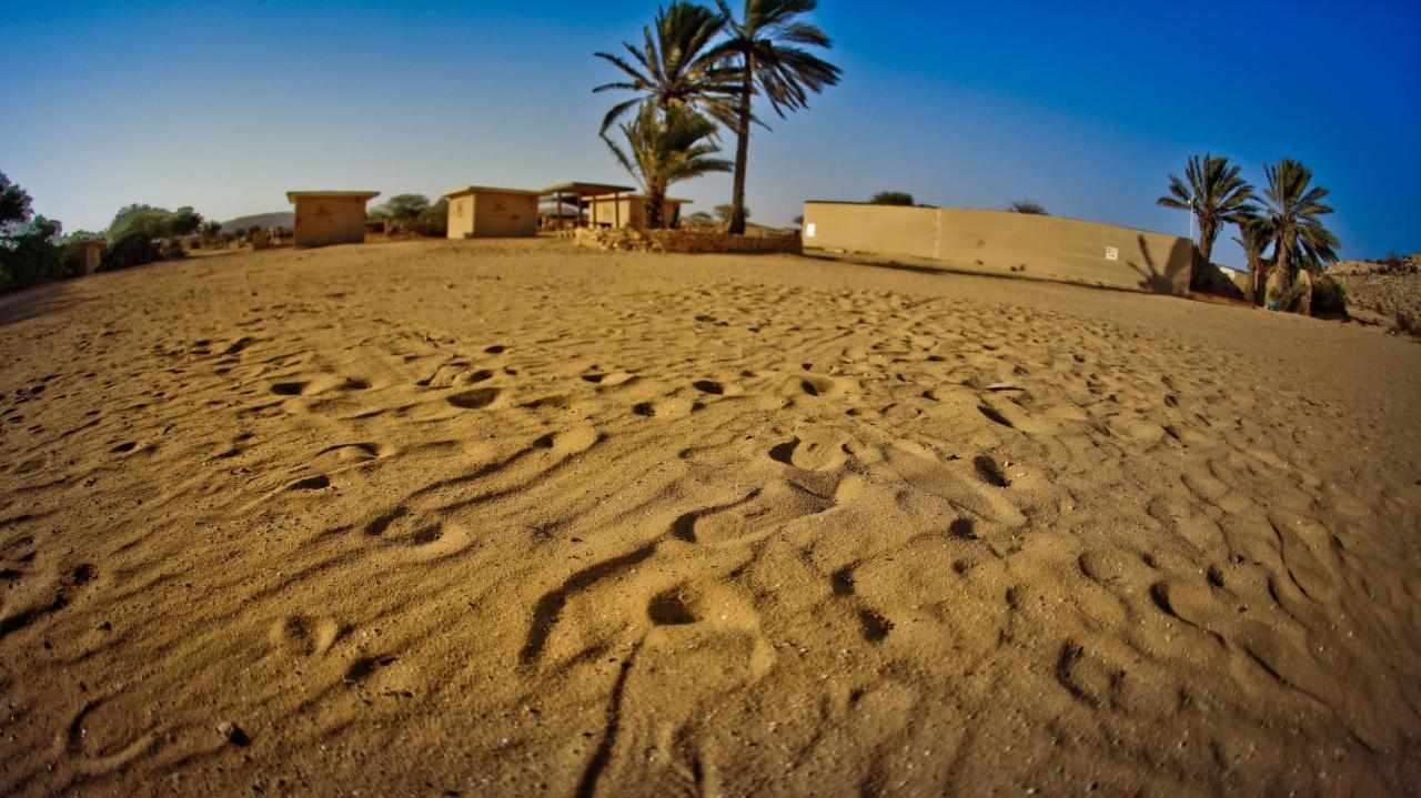 Negev Camel Ranch Villa Dimona Exteriör bild