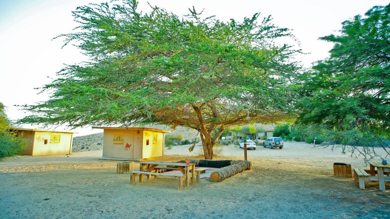 Negev Camel Ranch Villa Dimona Exteriör bild