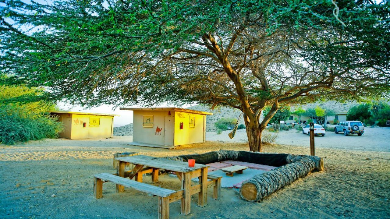Negev Camel Ranch Villa Dimona Exteriör bild
