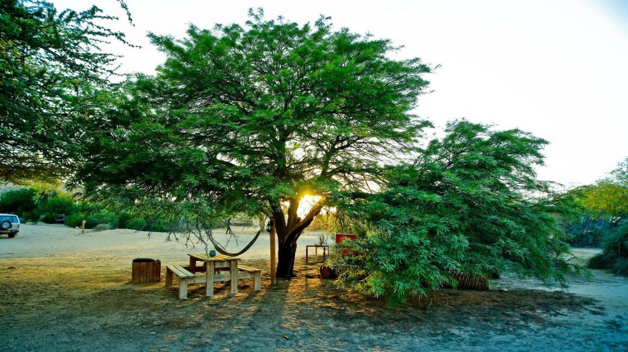 Negev Camel Ranch Villa Dimona Exteriör bild